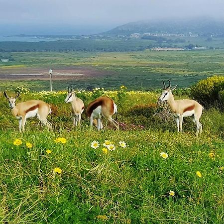 Berg En Dal Accommodation Saldanha Bay Bagian luar foto
